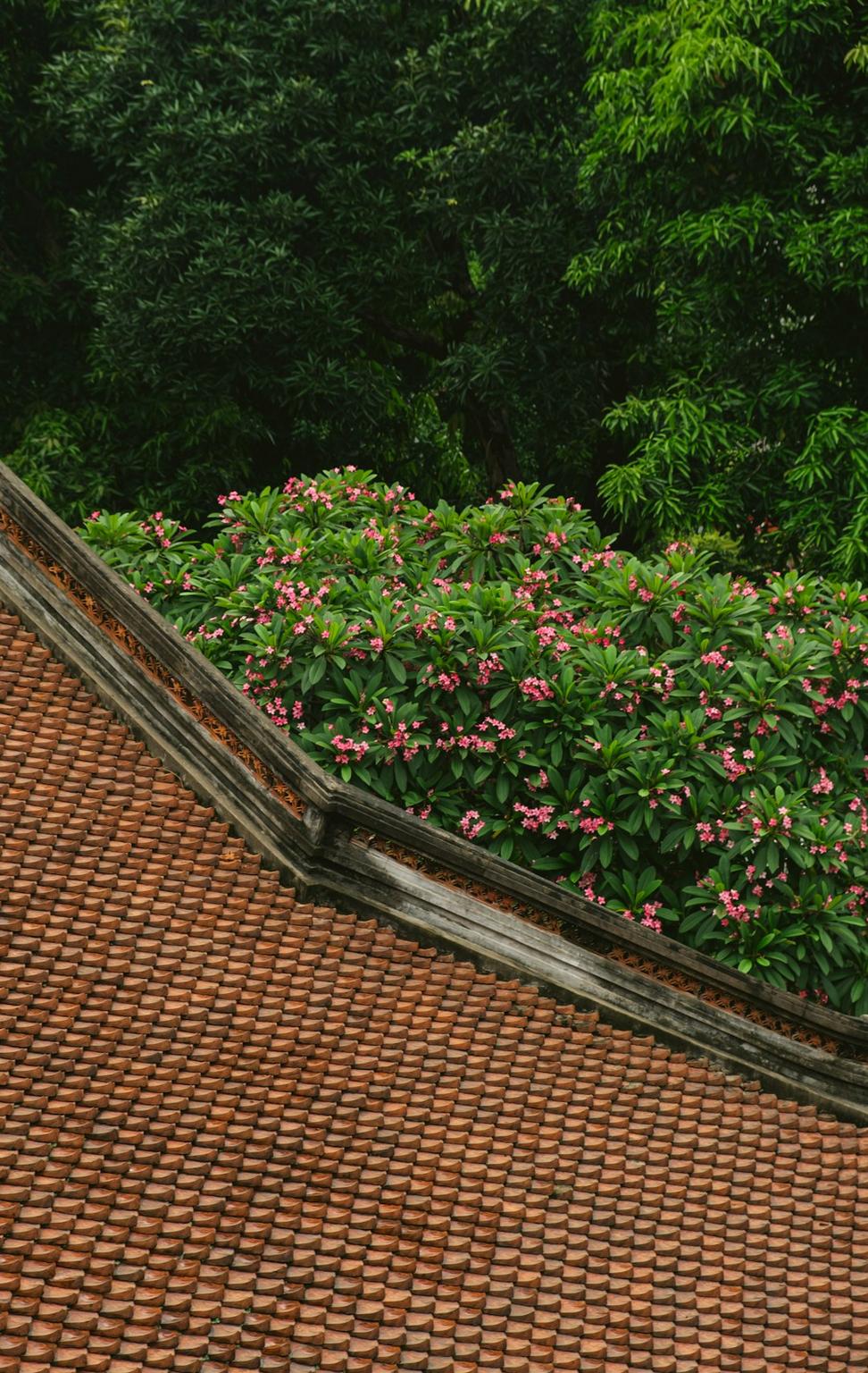 Living roof systems