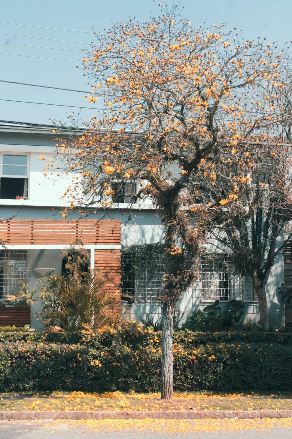 Riverside Modern Estate